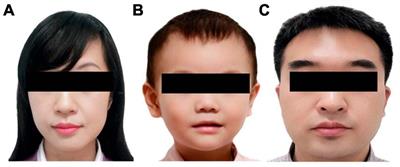 Using machine learning to explore the characteristics of eye movement patterns and relationship with cognition ability of Chinese children aged 1–6 years